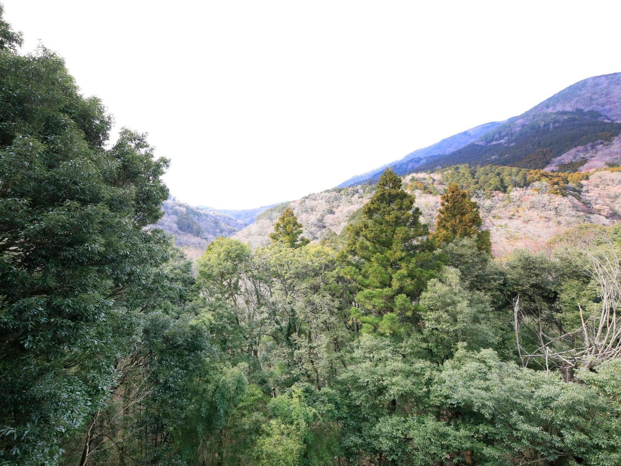 Hot Spring Inn Hakone Suisen Exterior foto